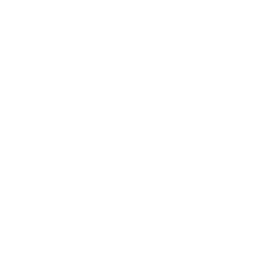 Portafolio de Charlize Holzapfel